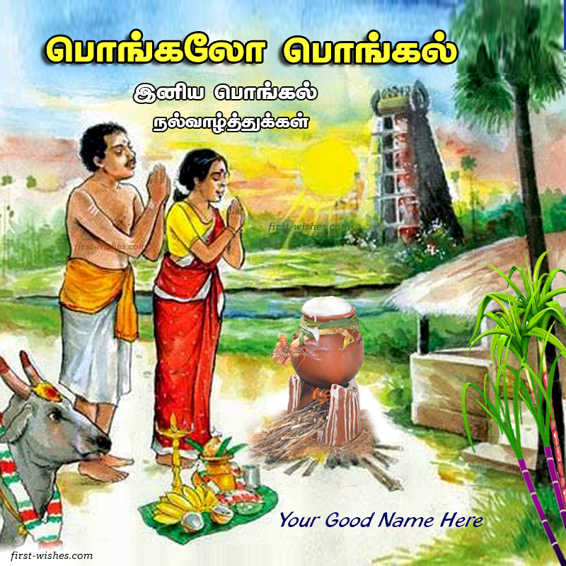 பொங்கலோ பொங்கல் Tamil Wishes Greeting Card