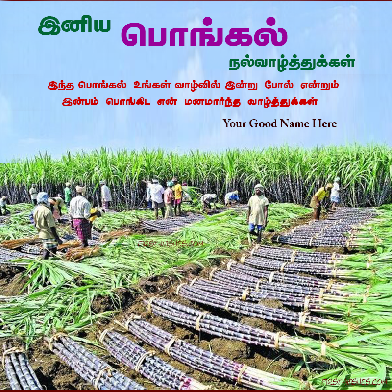 Iniya Pongal Valthukkal Tamil Wishes Karumbu