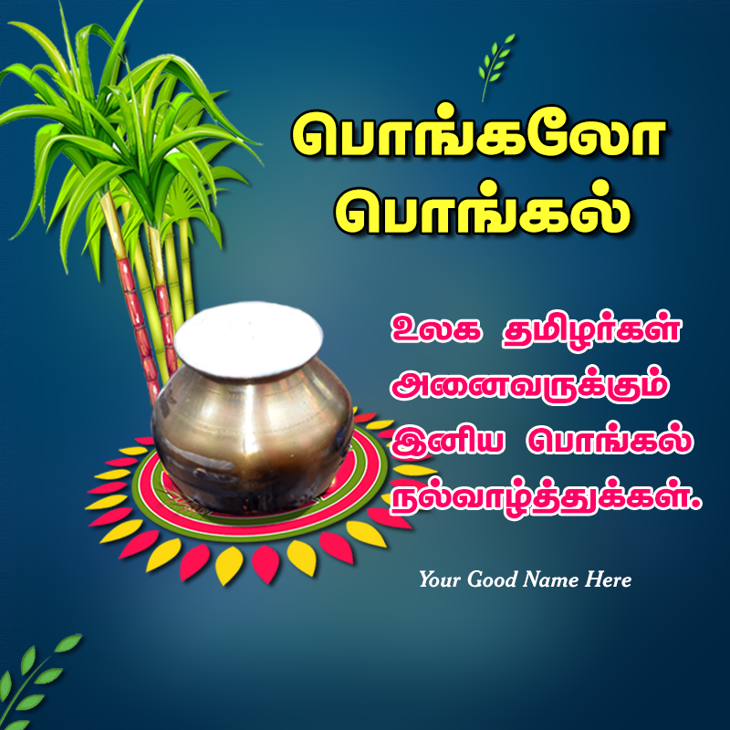 2020 Tamil Pongal Wishes Image with Name GIF | First Wishes